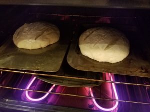 loaves slashed and in the oven. ©cmurraycook.com